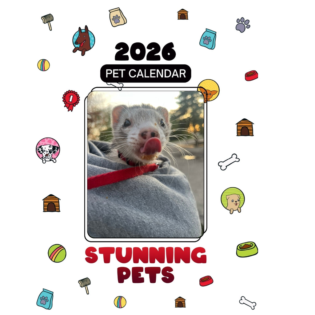 Ferret Headlines Stunning Pets: A 2026 Pet Calendar