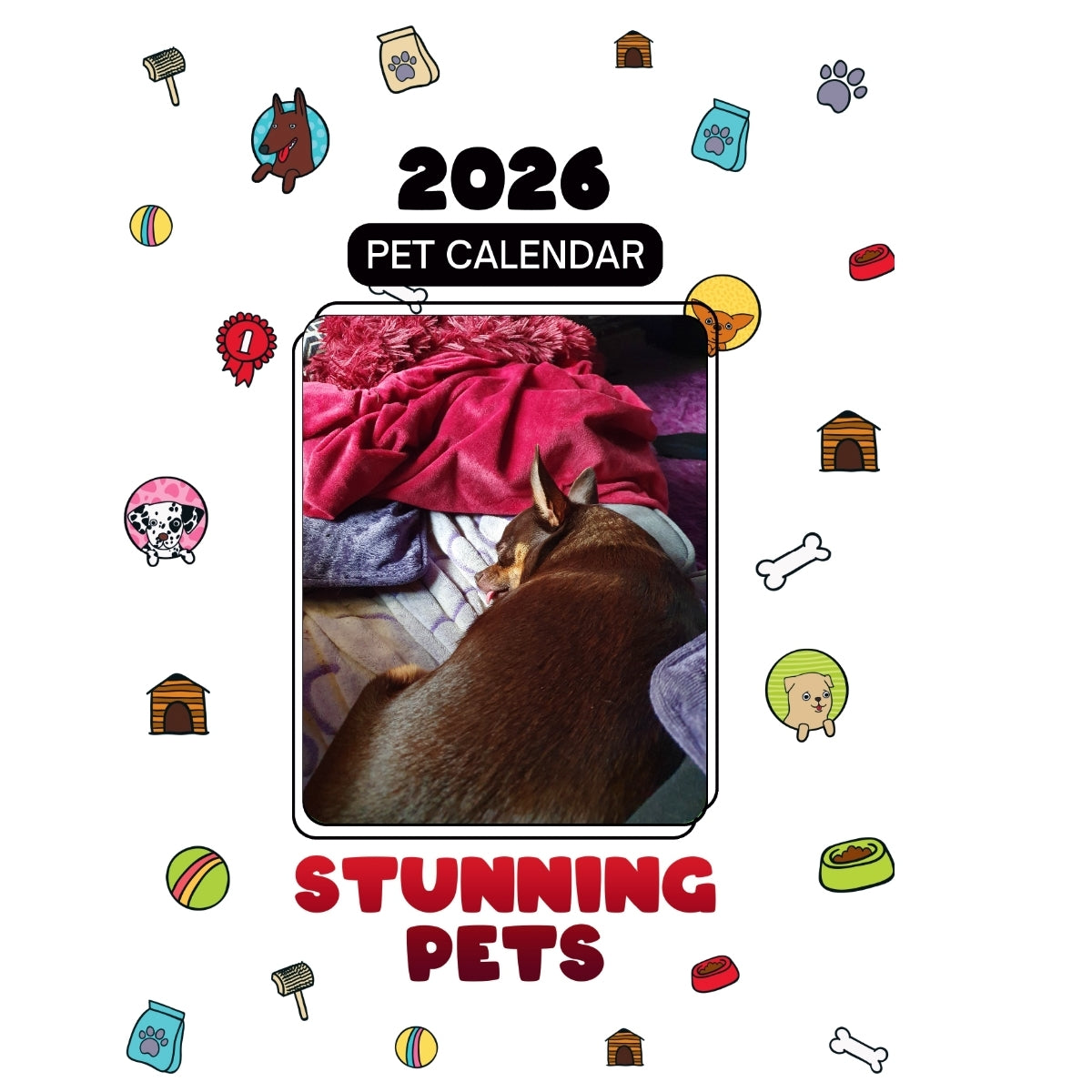 1 Headlines Stunning Pets: A 2026 Pet Calendar