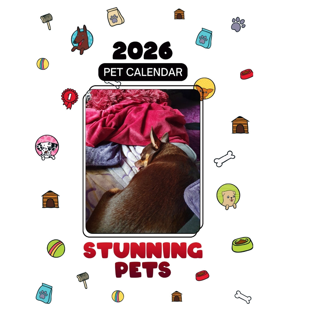 1 Headlines Stunning Pets: A 2026 Pet Calendar