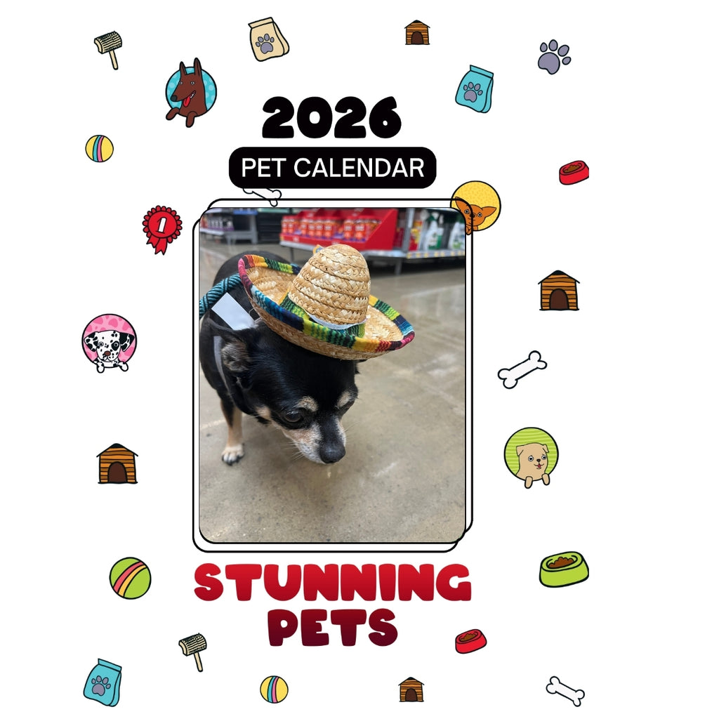 1 Headlines Stunning Pets: A 2026 Pet Calendar