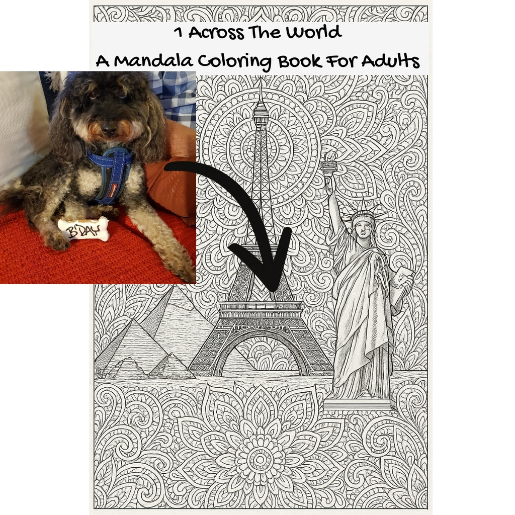 1 Across The World: A Mandala Coloring Book For Adults