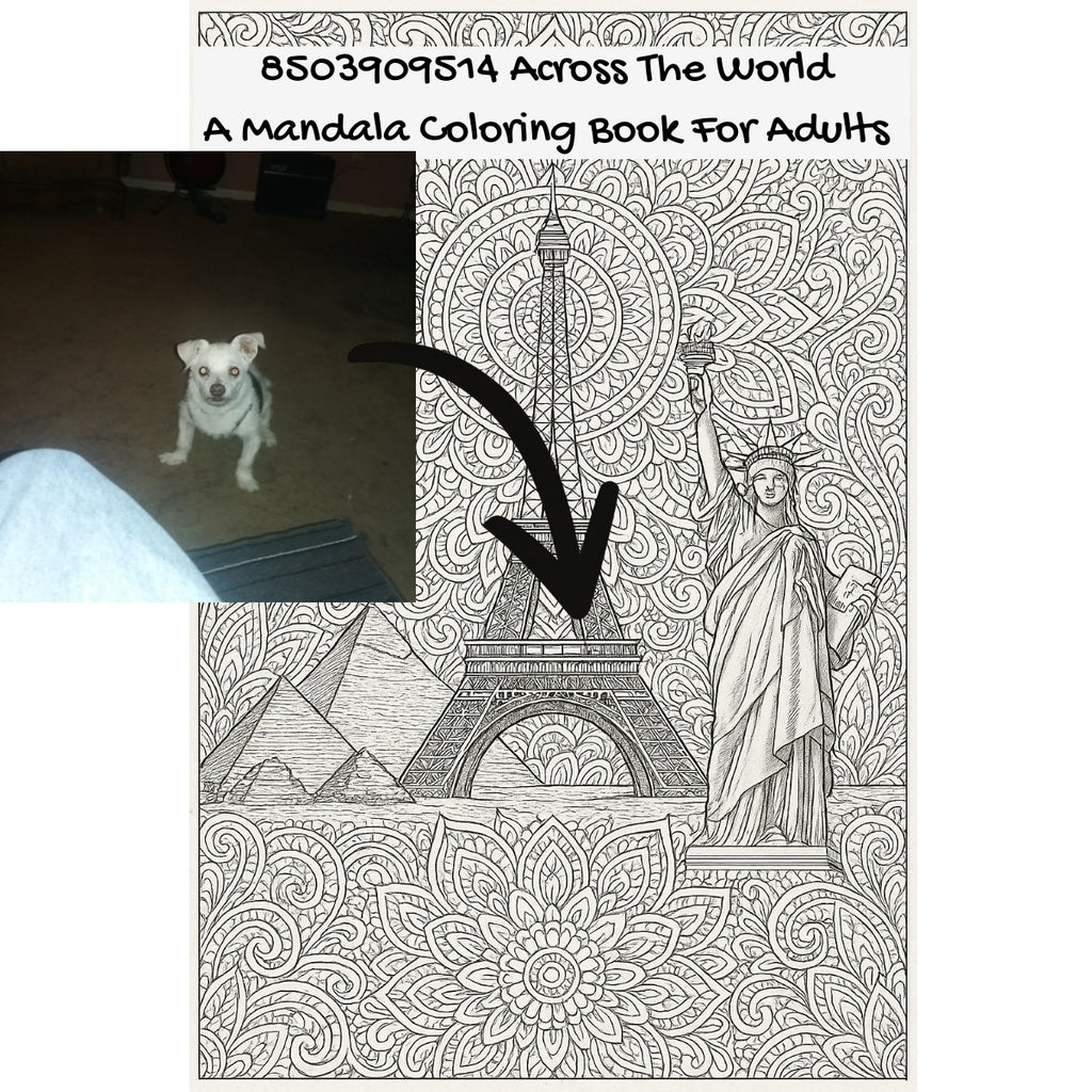 8503909514 Across The World: A Mandala Coloring Book For Adults