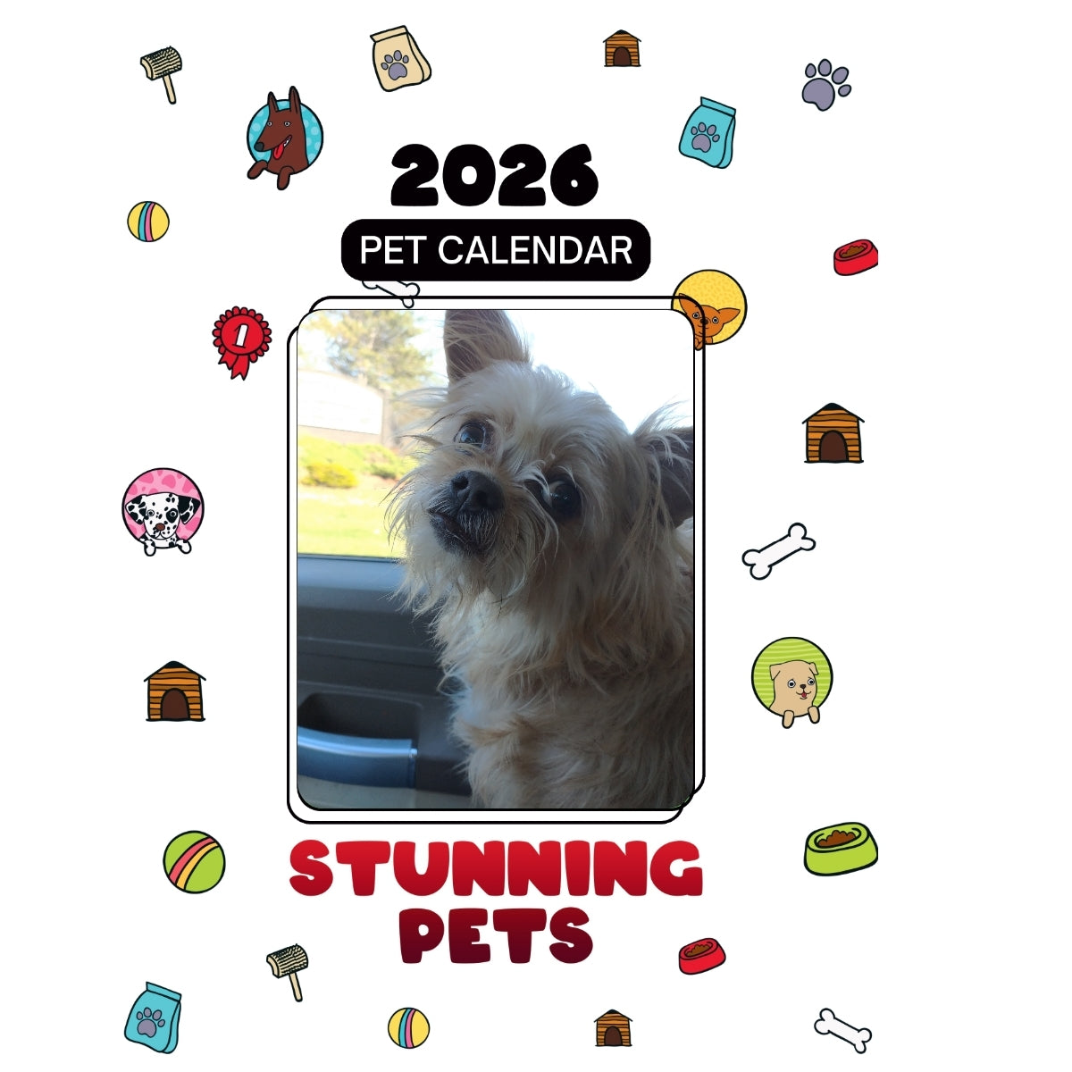 Gracie Headlines Stunning Pets: A 2026 Pet Calendar