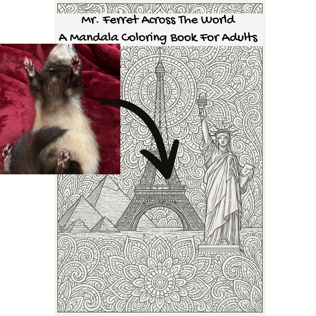 Mr. Ferret Across The World: A Mandala Coloring Book For Adults