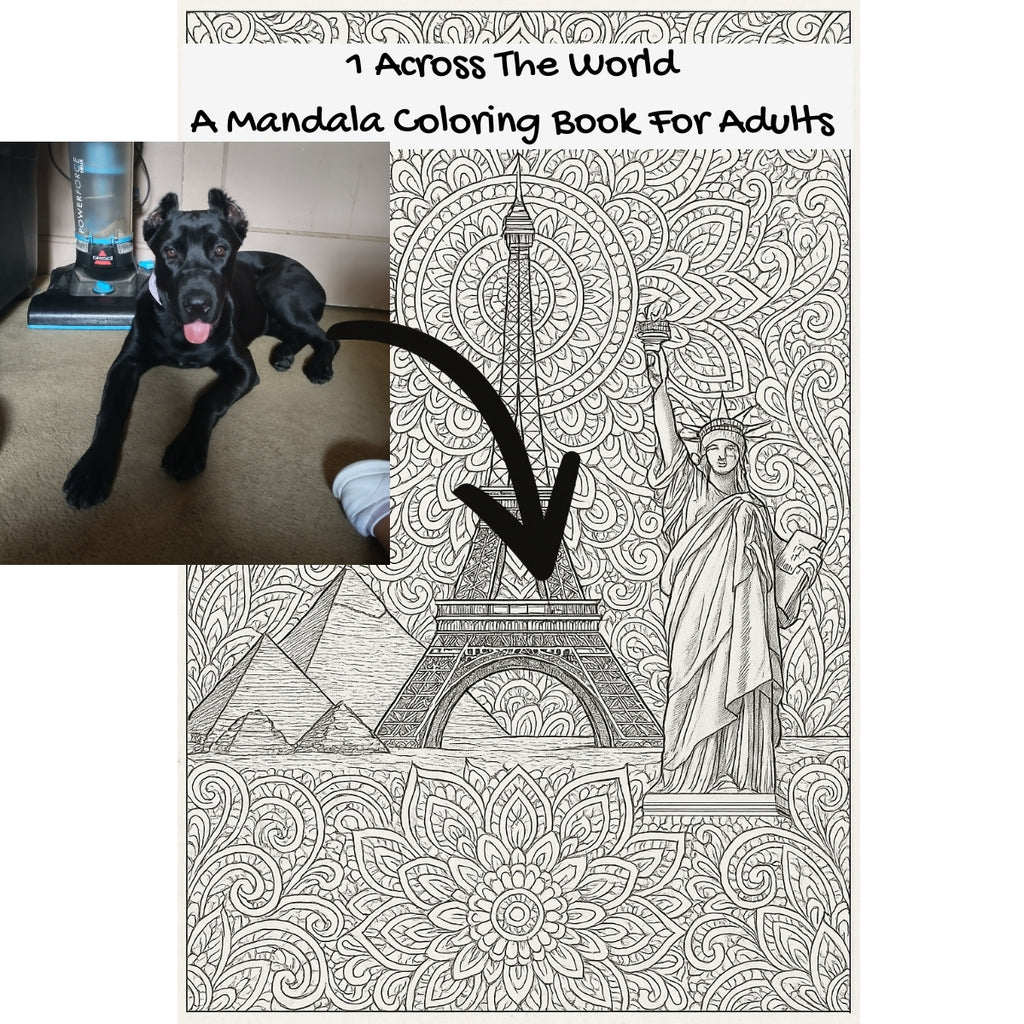 1 Across The World: A Mandala Coloring Book For Adults