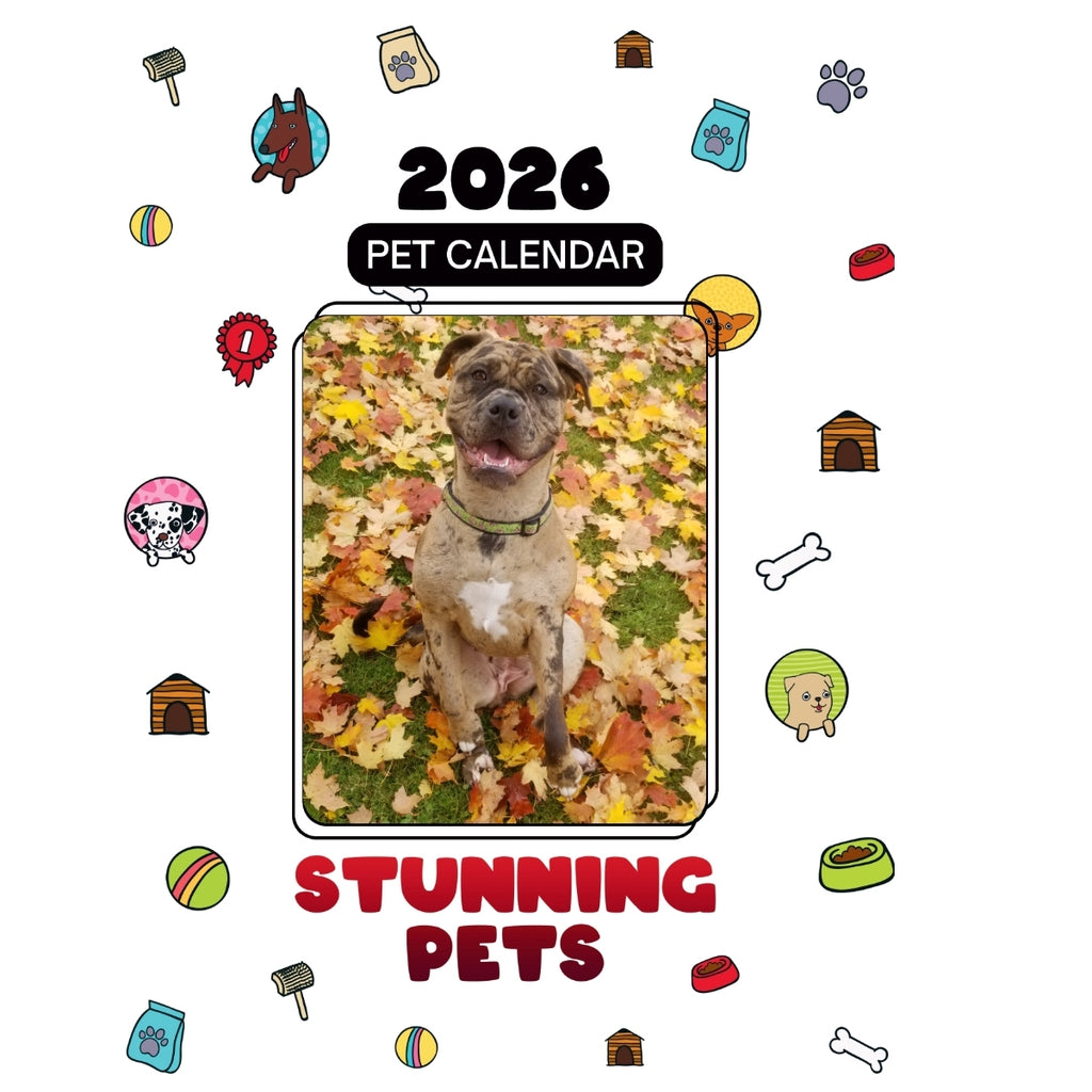 Hokey Pokey a Handicapable Bulldog Headlines Stunning Pets: A 2026 Pet Calendar