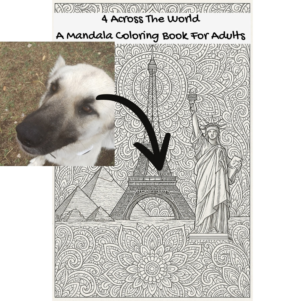 4 Across The World: A Mandala Coloring Book For Adults