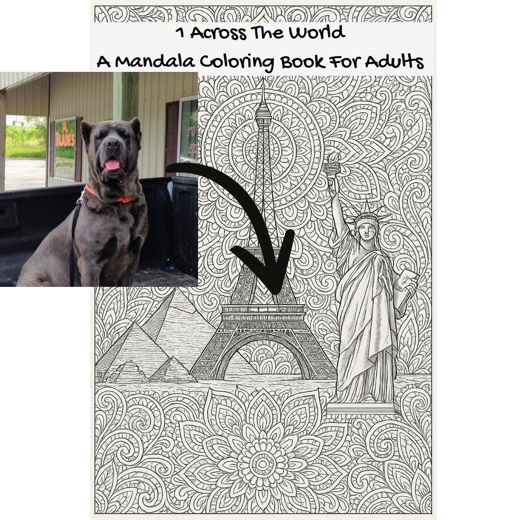 1 Across The World: A Mandala Coloring Book For Adults