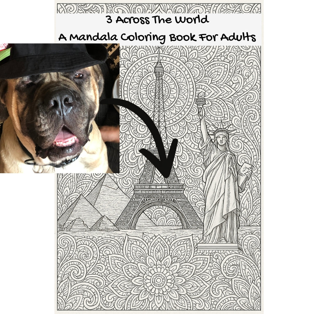 3 Across The World: A Mandala Coloring Book For Adults