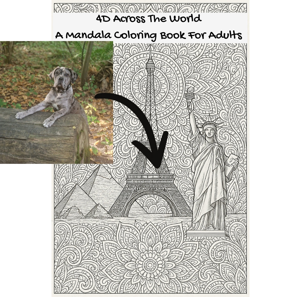 4D Across The World: A Mandala Coloring Book For Adults