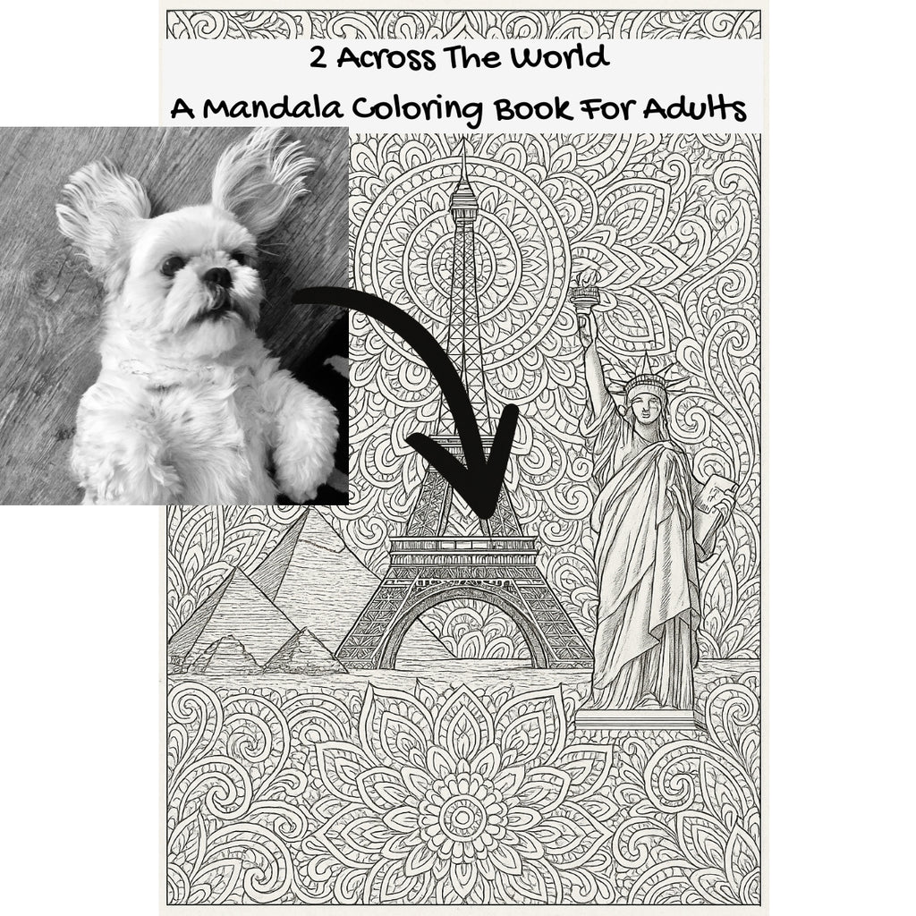 2 Across The World: A Mandala Coloring Book For Adults