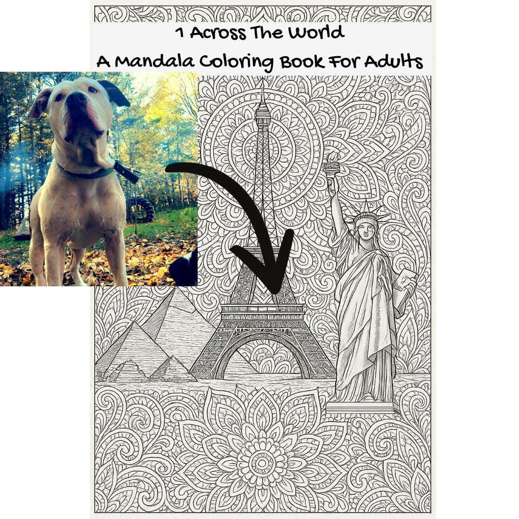 1 Across The World: A Mandala Coloring Book For Adults
