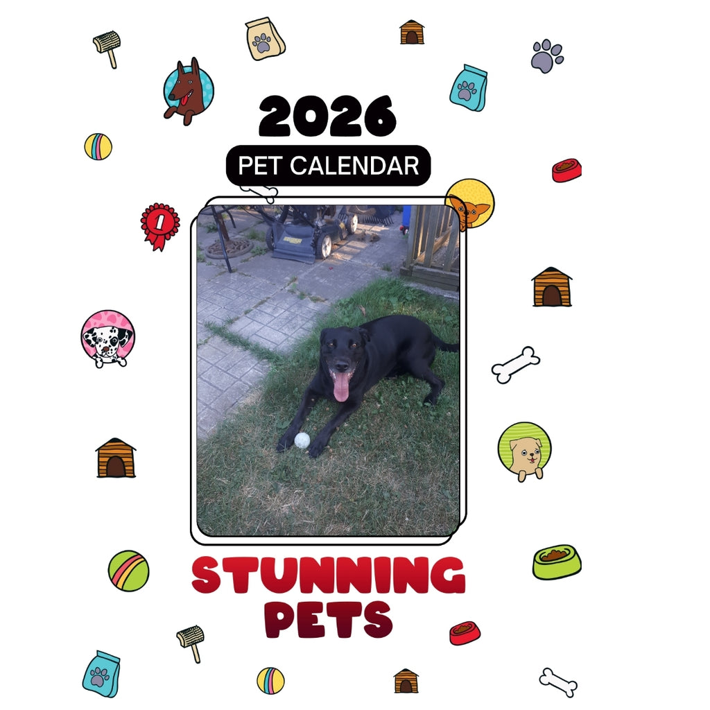 1 Headlines Stunning Pets: A 2026 Pet Calendar