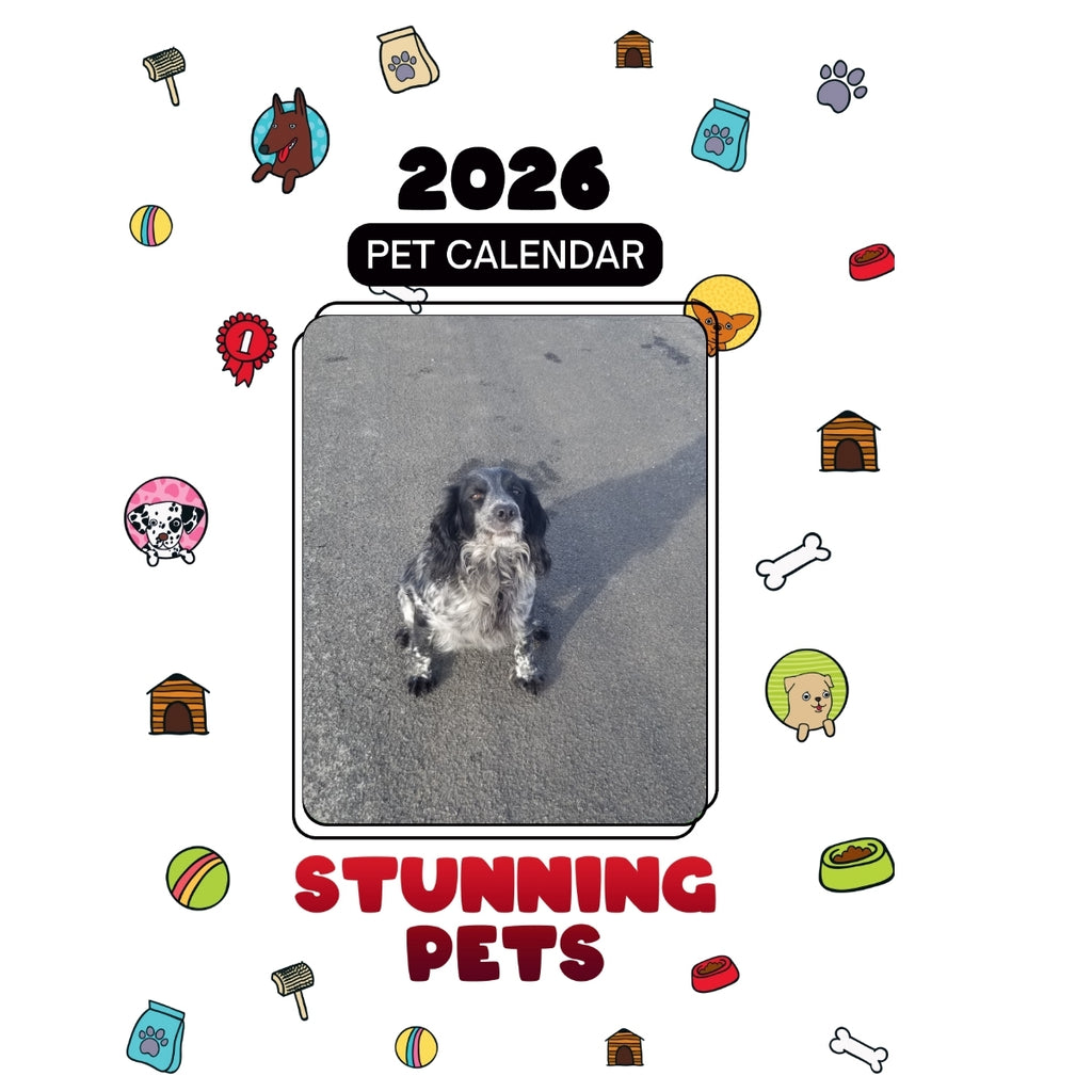 +17153070628 Headlines Stunning Pets: A 2026 Pet Calendar