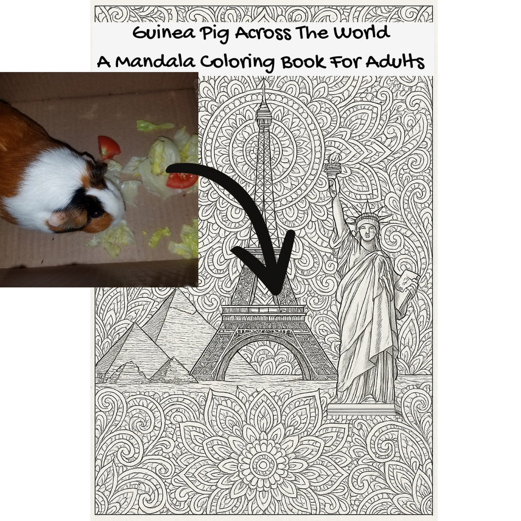 Guinea Pig Across The World: A Mandala Coloring Book For Adults