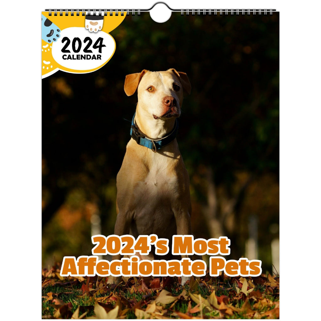 2024's Most Affectionate Pets: 2024 Wall Calendar (Published)