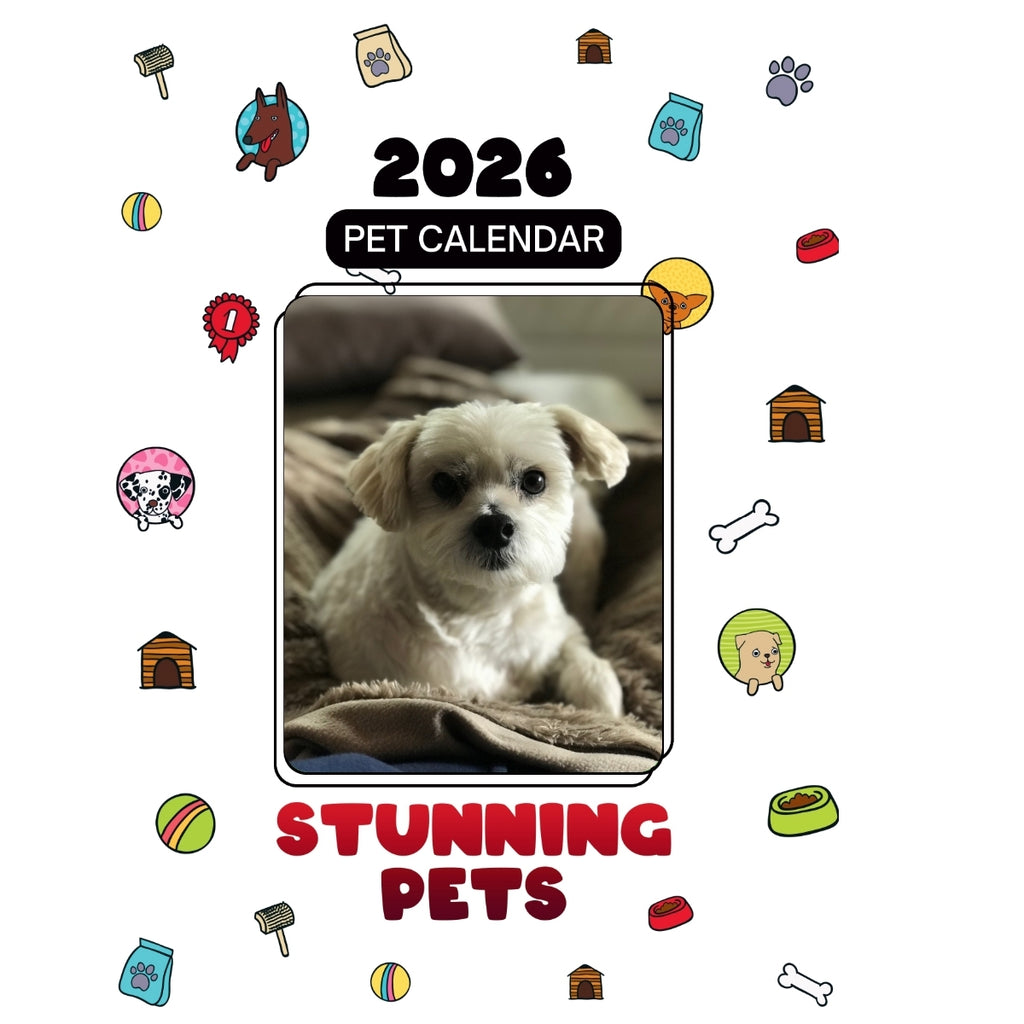 1 Headlines Stunning Pets: A 2026 Pet Calendar