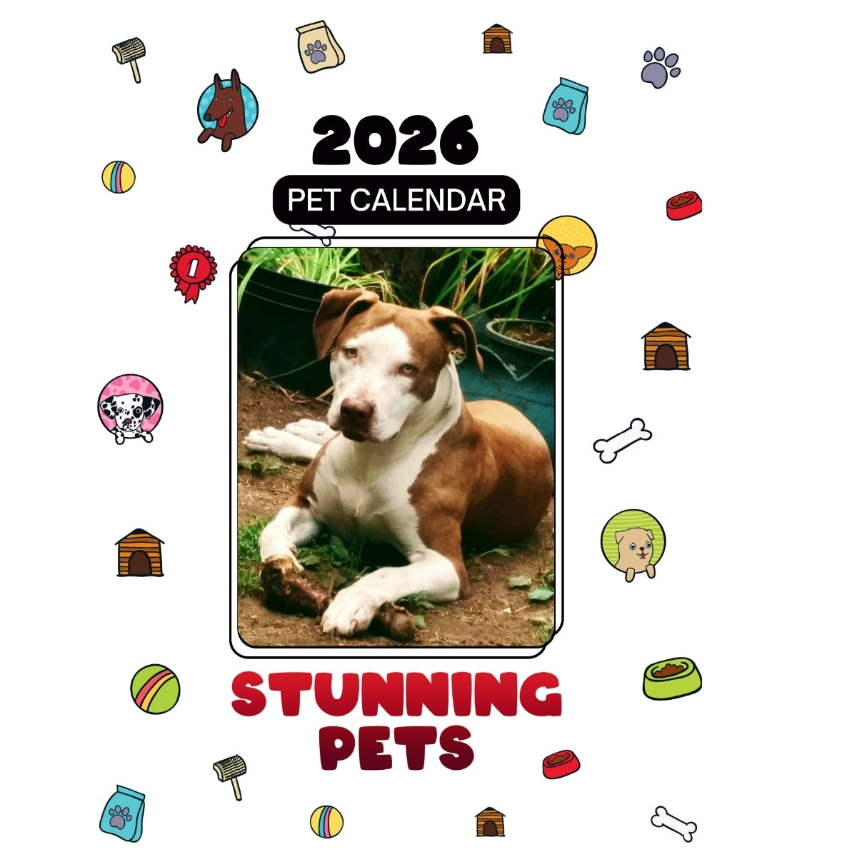 1 Headlines Stunning Pets: A 2026 Pet Calendar