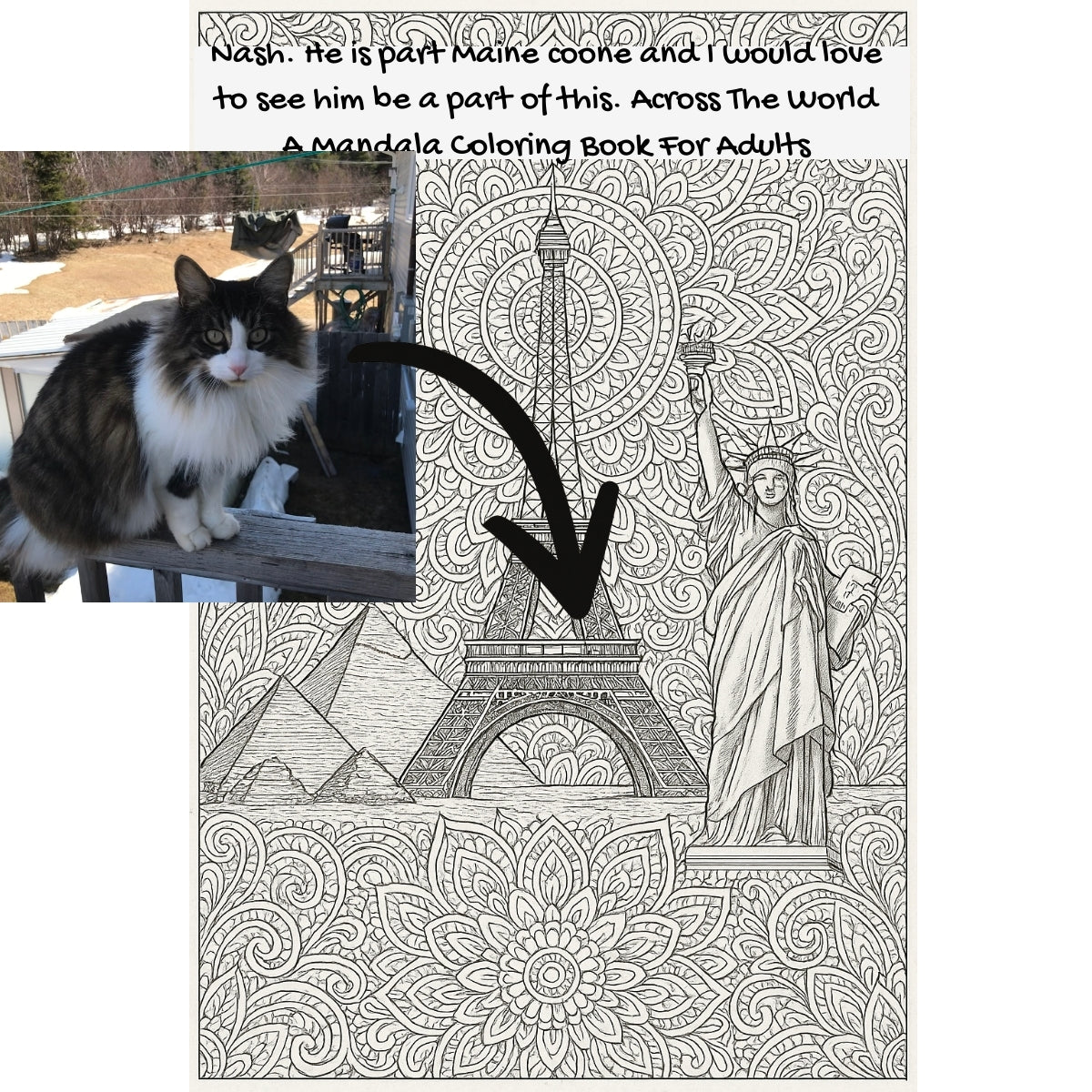 Nash. He is part Maine coone and I would love to see him be a part of this. Across The World: A Mandala Coloring Book For Adults