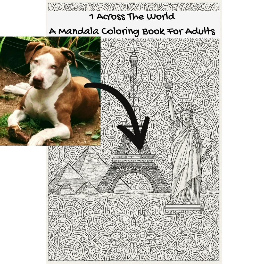 1 Across The World: A Mandala Coloring Book For Adults