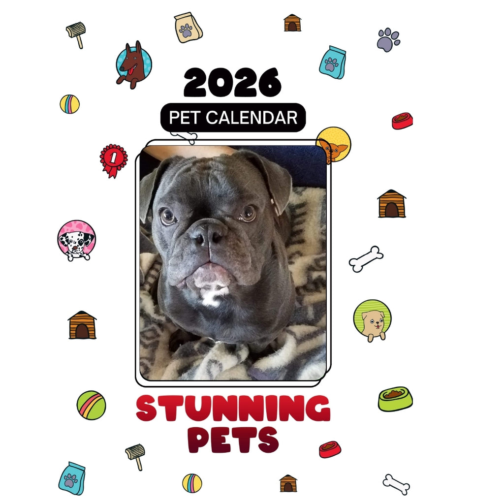 French Bulldog Headlines Stunning Pets: A 2026 Pet Calendar