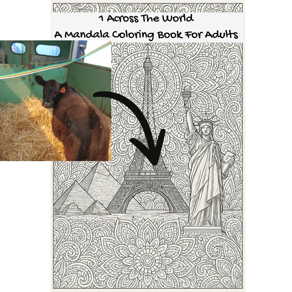 1 Across The World: A Mandala Coloring Book For Adults