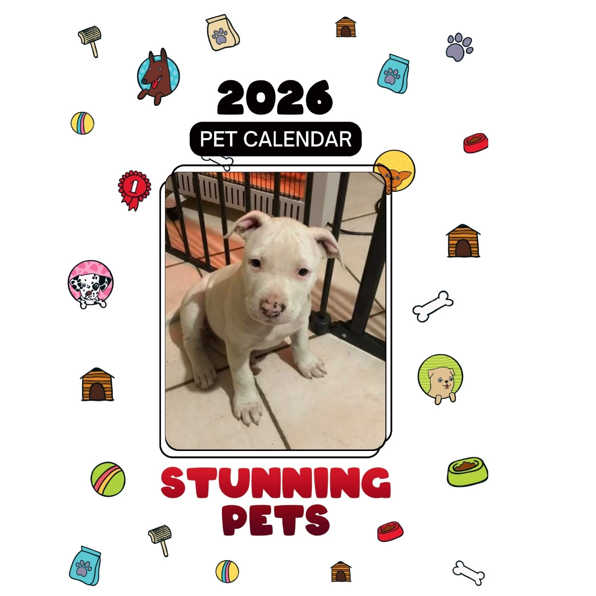 1 Headlines Stunning Pets: A 2026 Pet Calendar