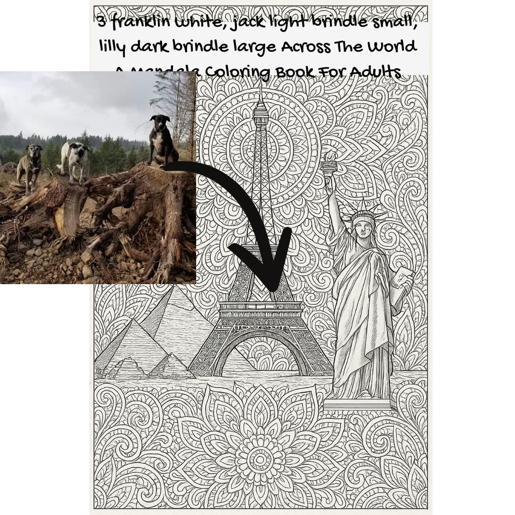 3 franklin white, jack light brindle small, lilly dark brindle large Across The World: A Mandala Coloring Book For Adults