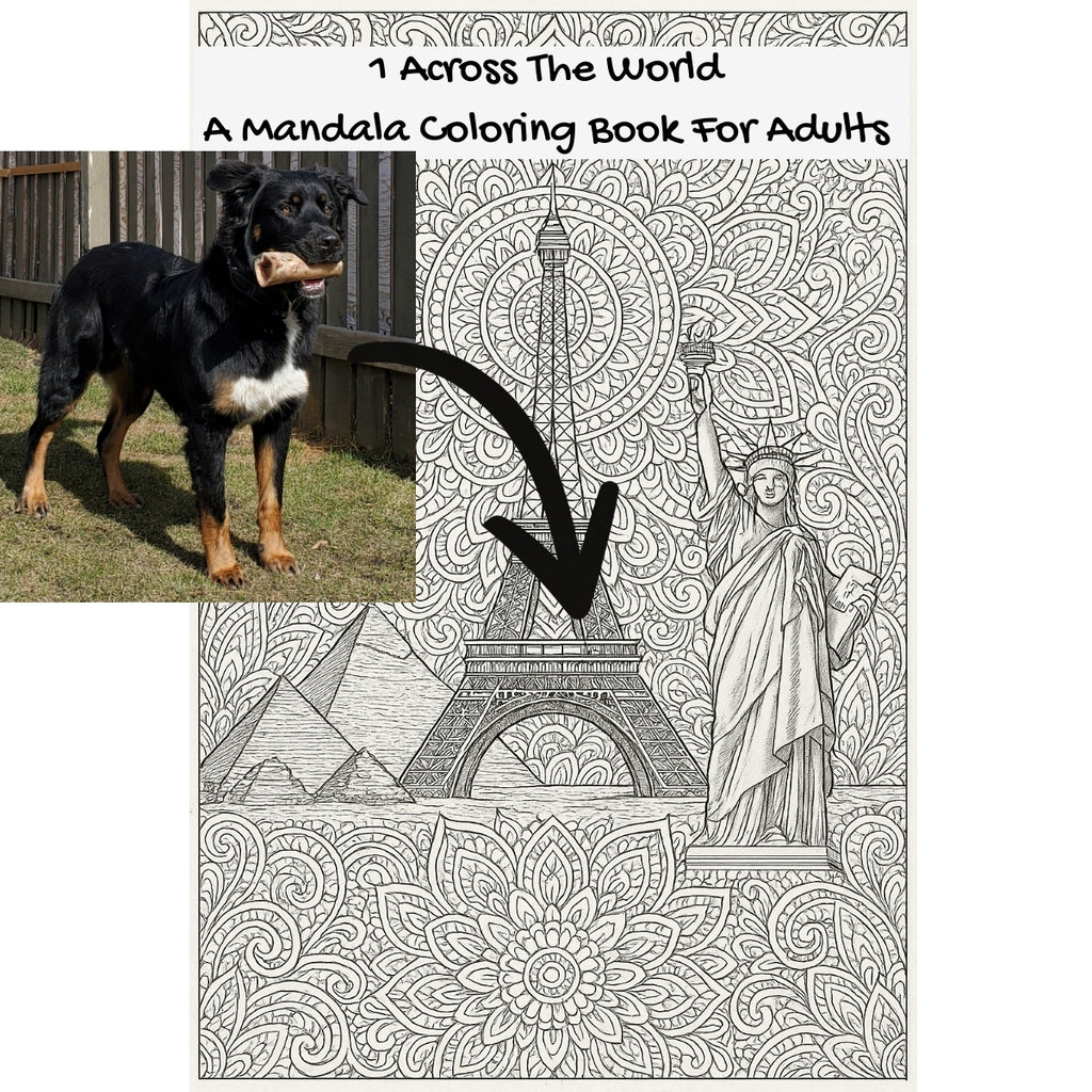 1 Across The World: A Mandala Coloring Book For Adults
