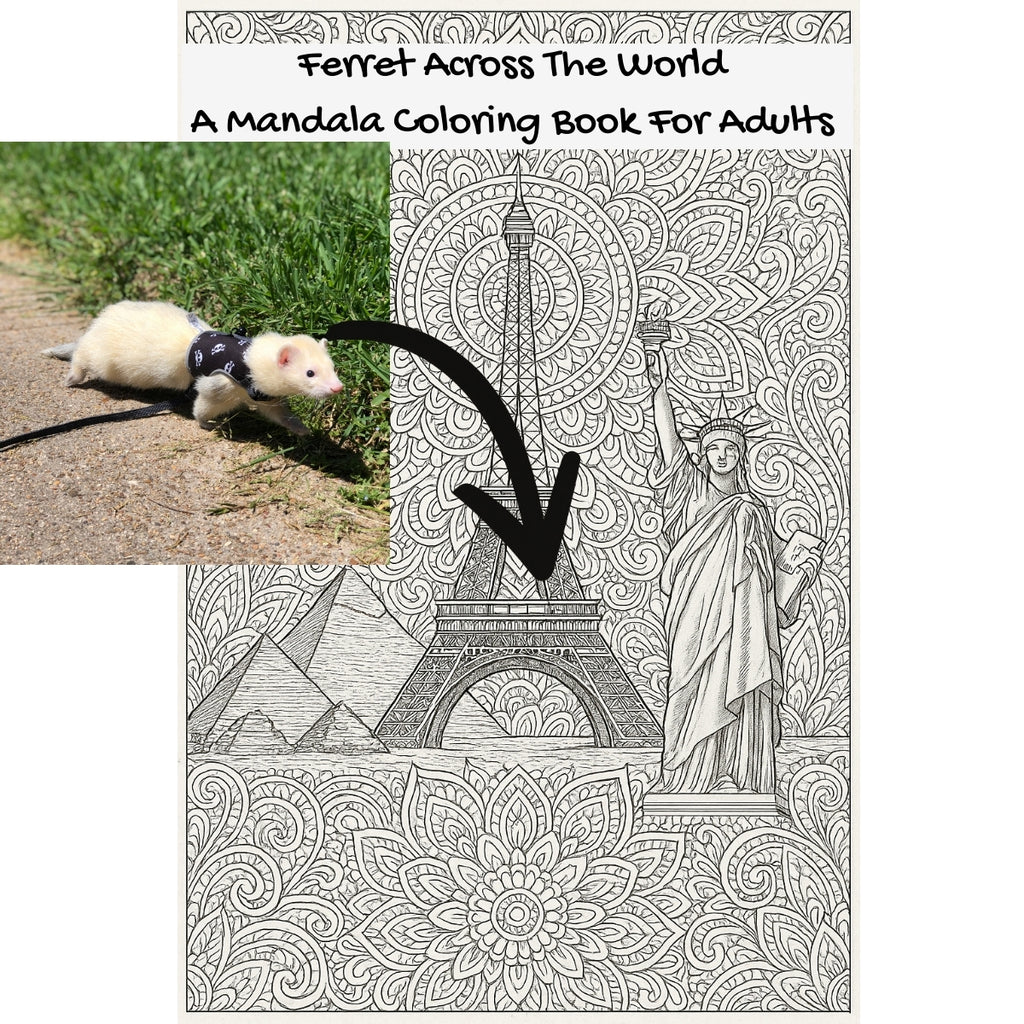Ferret Across The World: A Mandala Coloring Book For Adults