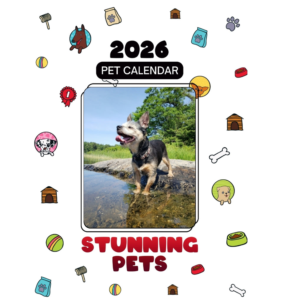 1 Headlines Stunning Pets: A 2026 Pet Calendar