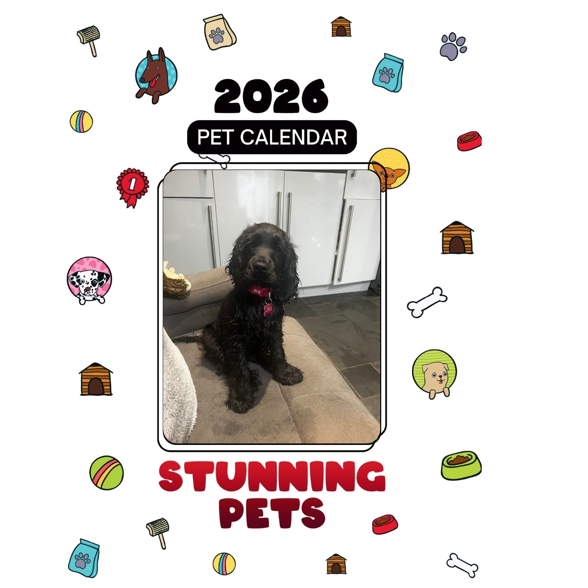 Nellie Headlines Stunning Pets: A 2026 Pet Calendar