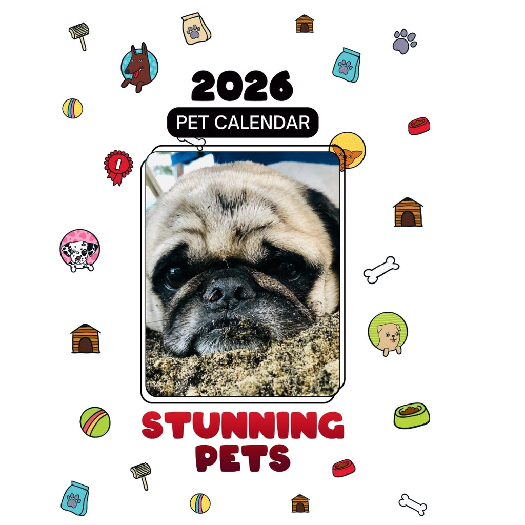 1 Headlines Stunning Pets: A 2026 Pet Calendar