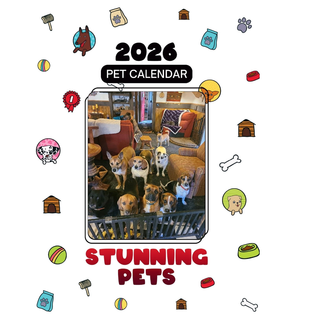 10 Rescued Dogs Headlines Stunning Pets: A 2026 Pet Calendar