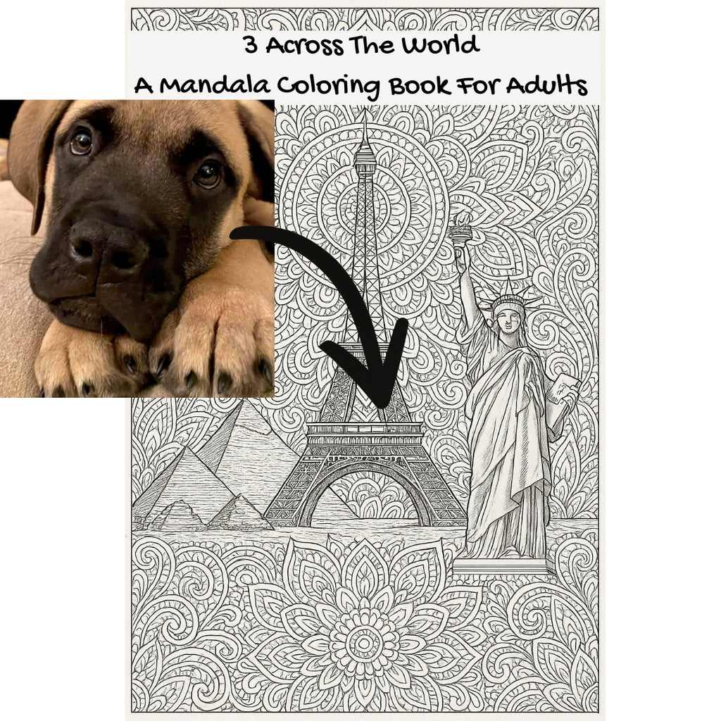 3 Across The World: A Mandala Coloring Book For Adults