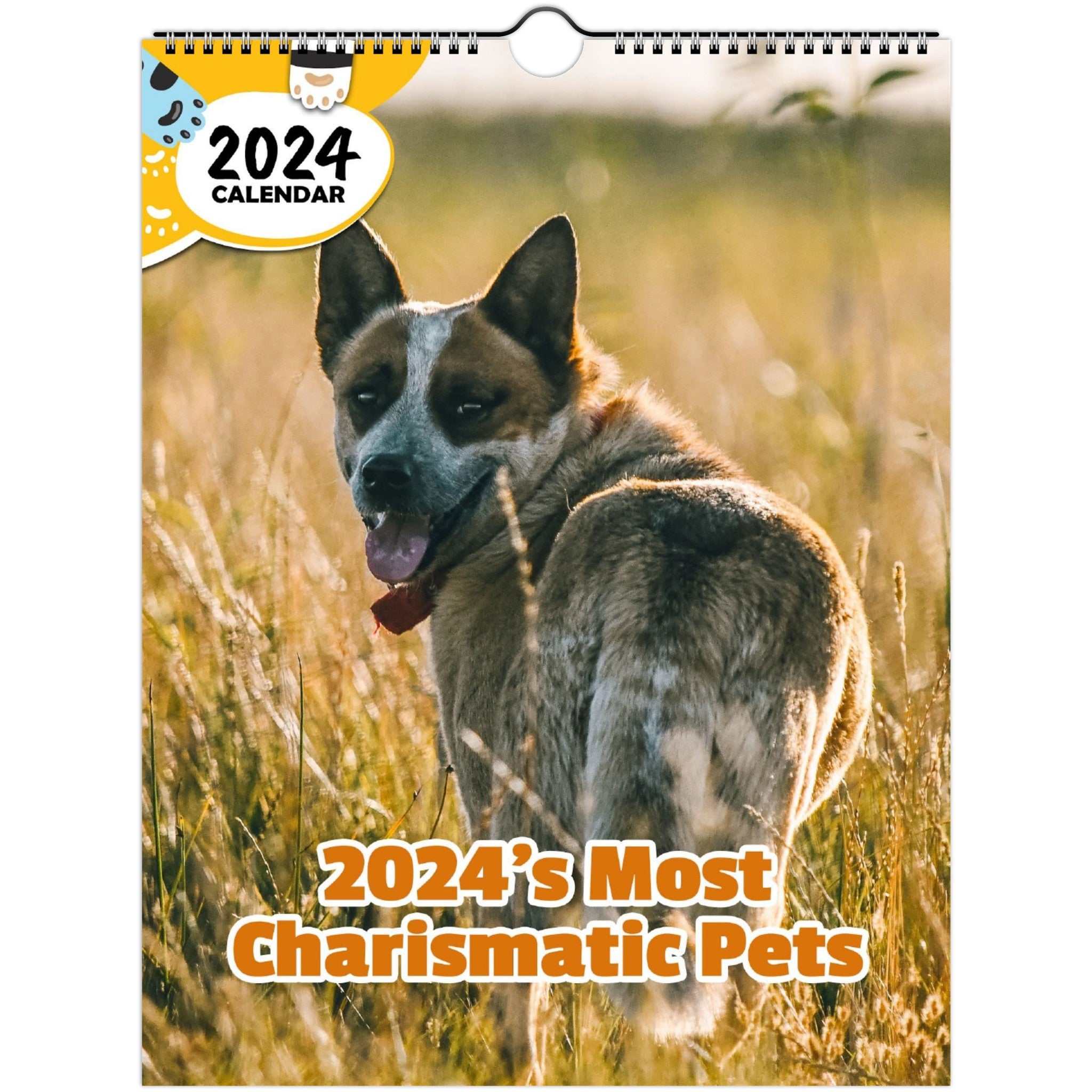 2024's Most Charismatic Pets: 2024 Wall Calendar (Published)