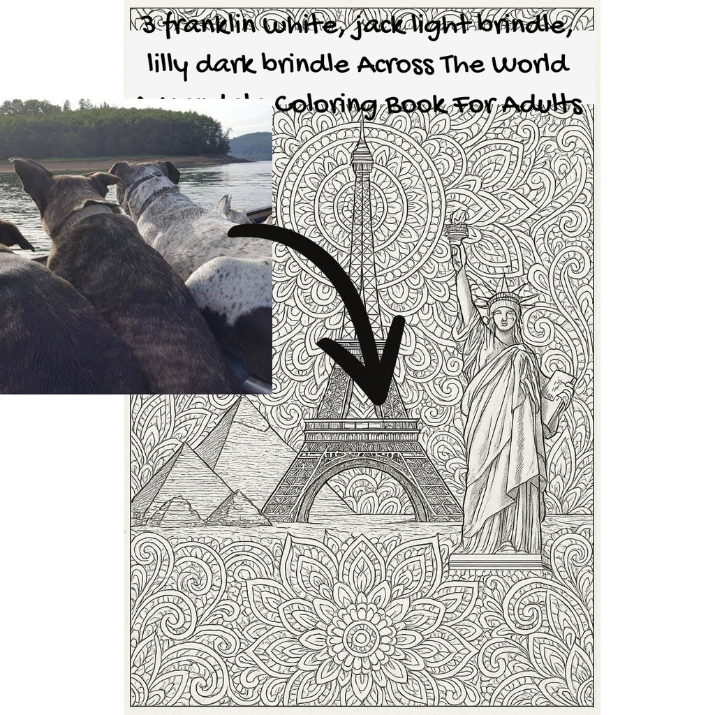 3 franklin white, jack light brindle, lilly dark brindle Across The World: A Mandala Coloring Book For Adults