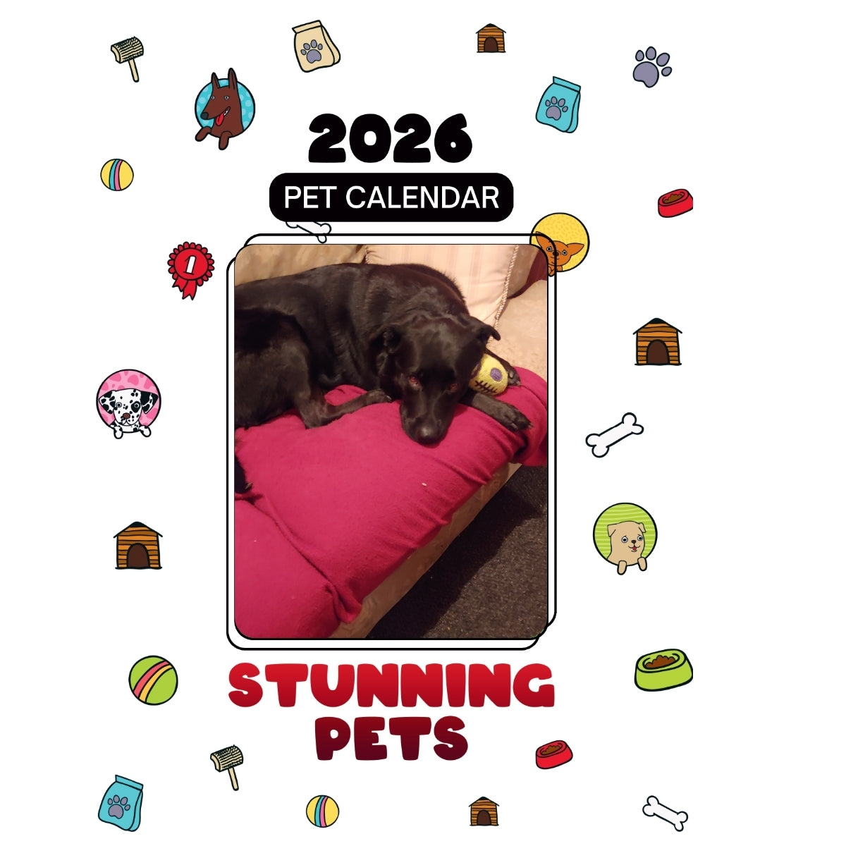 1 Headlines Stunning Pets: A 2026 Pet Calendar