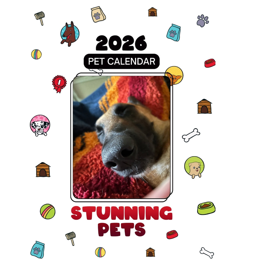 1 Headlines Stunning Pets: A 2026 Pet Calendar