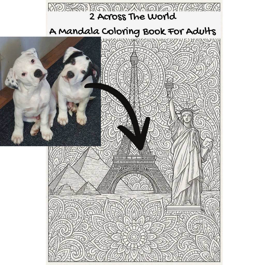 2 Across The World: A Mandala Coloring Book For Adults