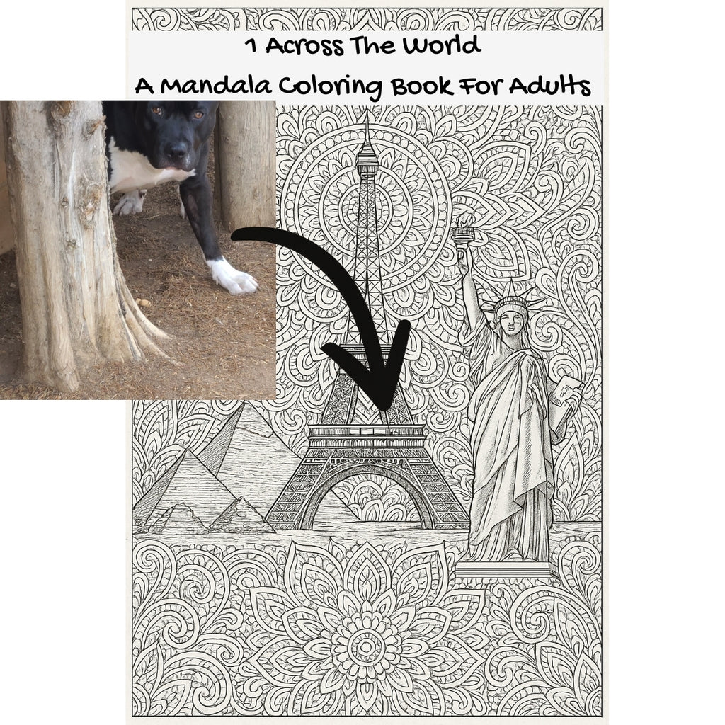 1 Across The World: A Mandala Coloring Book For Adults
