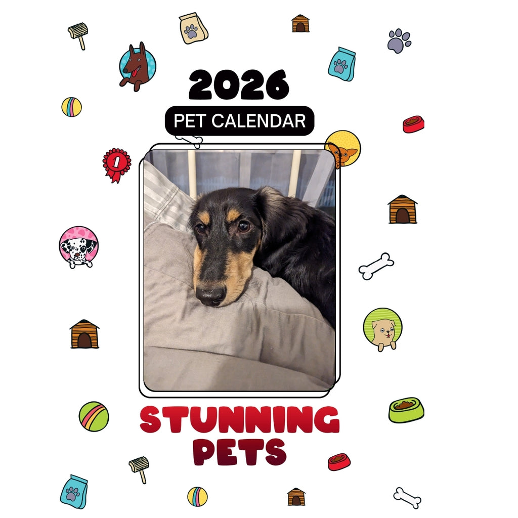 Puff the Magic Dachshund Headlines Stunning Pets: A 2026 Pet Calendar