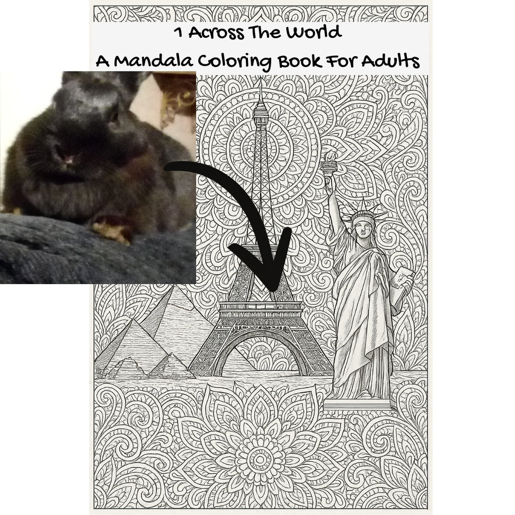 1 Across The World: A Mandala Coloring Book For Adults