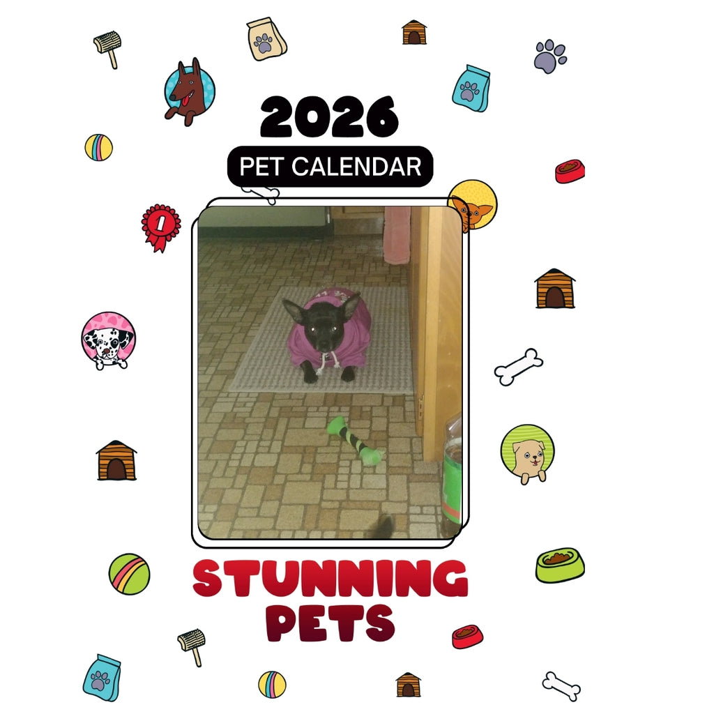 8Ball Headlines Stunning Pets: A 2026 Pet Calendar