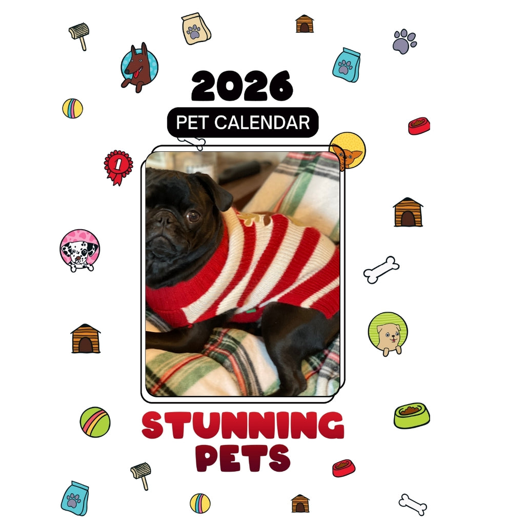 1 Headlines Stunning Pets: A 2026 Pet Calendar