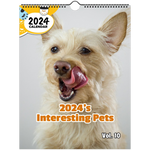 33c4843f-ad3a-4675-ad97-d5d9ce420648