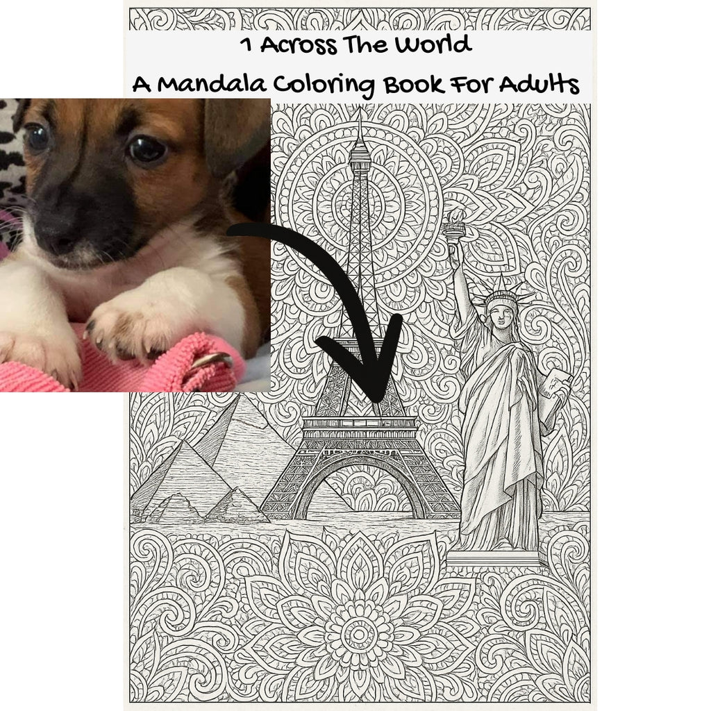 1 Across The World: A Mandala Coloring Book For Adults