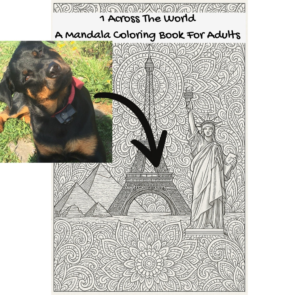 1 Across The World: A Mandala Coloring Book For Adults