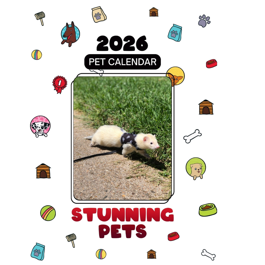 Ferret Headlines Stunning Pets: A 2026 Pet Calendar