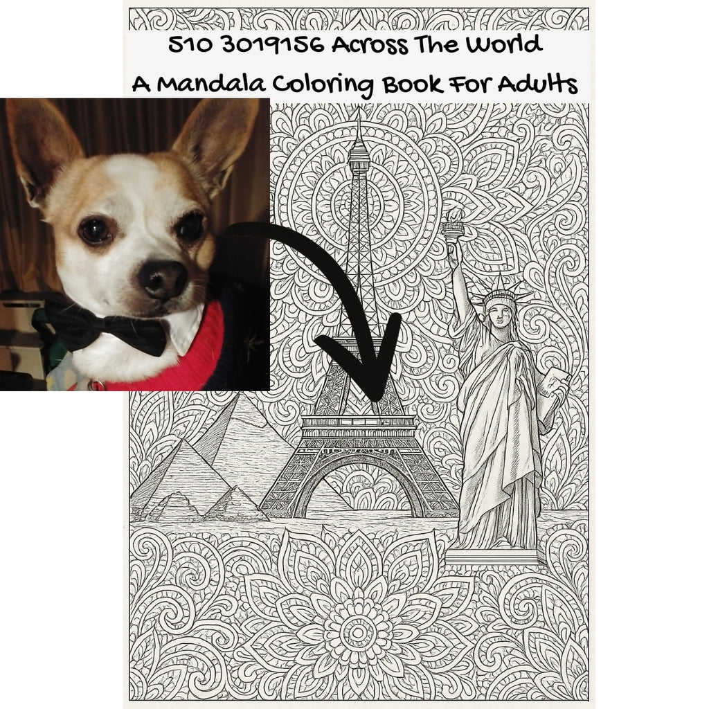 510 3019156 Across The World: A Mandala Coloring Book For Adults